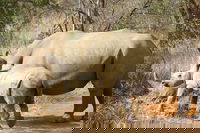 Tshatshu Eastern-cape Accommodation Africa