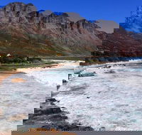 Hermanus Whale Watching Tour - From Cliffs - Accommodation Africa