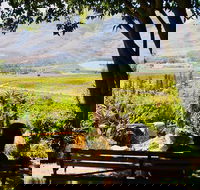 Hike  Wine - Table Mountain Kirstenbosch and Constantia - Accommodation Africa