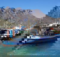 Cape Peninsula Tour from Cape Town - Accommodation Africa