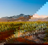 Stellenbosch Wine Tour from Cape Town - Accommodation Africa