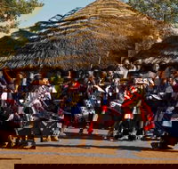 Full Day Natal Lion Park-Tala Game Reserve - PhezuluCulturalVillage from Durban - Accommodation Africa