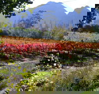 Cape of Good Hope and Cape Winelands Day Tour from Cape Town - Accommodation Africa