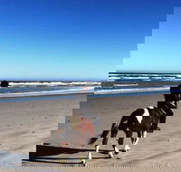 Horse safari  beach ride Western Cape - Accommodation Africa