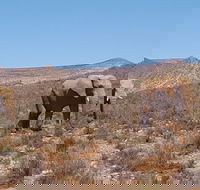 Full-Day Safari Aquila Game Reserve from Cape Town - Accommodation Africa