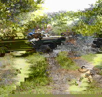 2-Day Kruger National Park Safari from Johannesburg - Accommodation Africa
