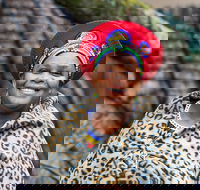 Lesedi Cultural Village - Accommodation Africa