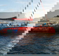 Catamaran Sunset Champagne Cruise Cape Town - Accommodation Africa