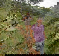 Guided Hiking In the Magaliesberg - only an hour from Johannesburg - Accommodation Africa