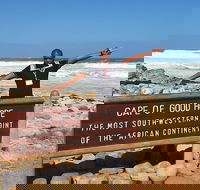 Table Mountain Penguins  Cape of Good Hope with Photographs - Full Day Tour. - Accommodation Africa