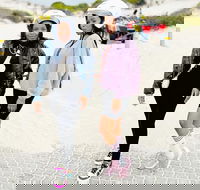 Atlantis Dunes Quad biking CapeTown 4WD ATV  off-road tours - Accommodation Africa
