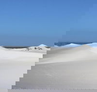 Sandboarding from Cape Town Half Day Guided Experience with Transport - Accommodation Africa