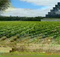 African Story Wine Tours in the Cape Winelands - Accommodation Africa