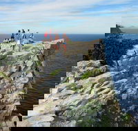 Full-Day Cape Point  Cape Peninsula Sightseeing Tour from Cape Town - Accommodation Africa