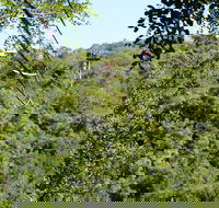 Aerial Cable Trail in Hazyview - Accommodation Africa