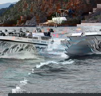 Whale Watching Knysna - Close Encounter Experience Ocean Odyssey - Accommodation Africa