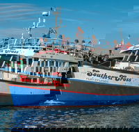 Half Hour Seal and Harbour Cruise - Accommodation Africa