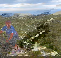 Hike Table Mountain's Most Scenic Hiking Route With Experienced Guides - Accommodation Africa