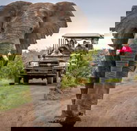 7 Day Garden Route with Addo Cape Point and Winelands Small Group Combo Package - Accommodation Africa