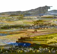Paarl Franschhoek and Stellenbosch Wine Tour from Cape Town - Accommodation Africa