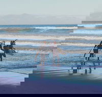 Private Cape Towns West Coastal Tour with Quad Bike - Accommodation Africa