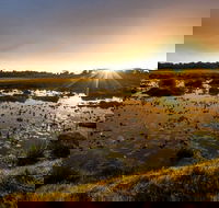 3-Day Kruger National Park Big 5 Backpacker Safari - Accommodation Africa
