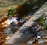 1 Hour Nature Quad bike trail - Accommodation Africa