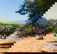 15 Hour Horse Trail - Accommodation Africa