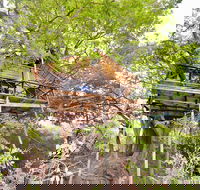 5 Day Lodge and Treehouse Kruger National Park Safari - Accommodation Africa