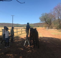 Horseriding Safari Day Tour from Johannesburg - Tourism Africa