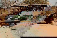 Sabi Sand Game Reserve Mpumalanga Accommodation Africa