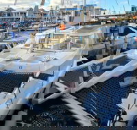 Cape Town Sparkling Wine Catamaran Cruise - Accommodation Africa