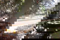 Burgersdorp Eastern-cape Accommodation Africa