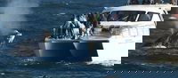Burgersdorp Eastern-cape Accommodation Africa