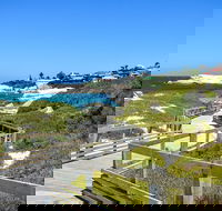 Half Day Trip to Boulders Beach Penguin Colony - Accommodation Africa