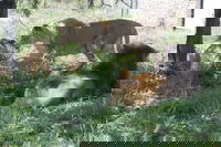 The Reeds Gauteng Accommodation Africa