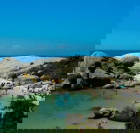 Cape Town Explorer - Accommodation Africa
