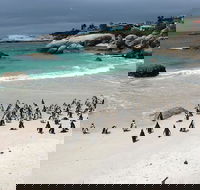 8 Day Wild Coast and Garden Route Essentials - Accommodation Africa