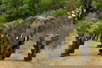 Thembalihle Kwazulu-natal Accommodation Africa