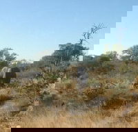 4 Days Kruger National Park Safari Tour - Accommodation Africa