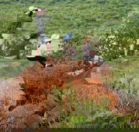 Private Pilanesberg Safari from Johannesburg or Pretoria - Accommodation Africa