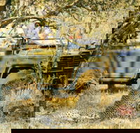 Cape Town Private Aquila Safari Full Day Tour - Accommodation Africa