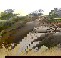 Private return transfers from Cape Town to Sanbona Wildlife Reserve - Accommodation Africa