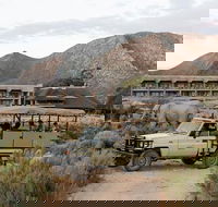 Private Full-Day Aquila Safari Tour from Cape Town with Lunch - Accommodation Africa
