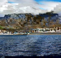 Surfing or SUPing Tour - Accommodation Africa