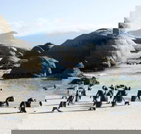 Cape Peninsula Tours - Accommodation Africa