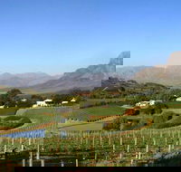 Winemaker-Led Private Wine Tasting Tours from Franschhoek - Accommodation Africa