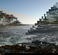 Cape of Good Hope tour Full day /Half day - Accommodation Africa