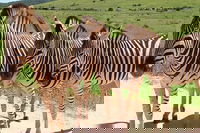 Tshabo 2 Eastern-cape Accommodation Africa