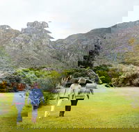 Cape Town City Sightseeing Tour - Accommodation Africa